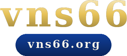 vns66 logo
